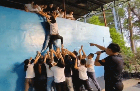 1669001851936.png 1669001851936.png